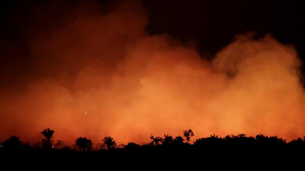 Forest Fires Africa