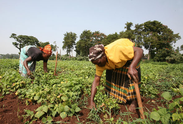 Future Of Farming In Africa