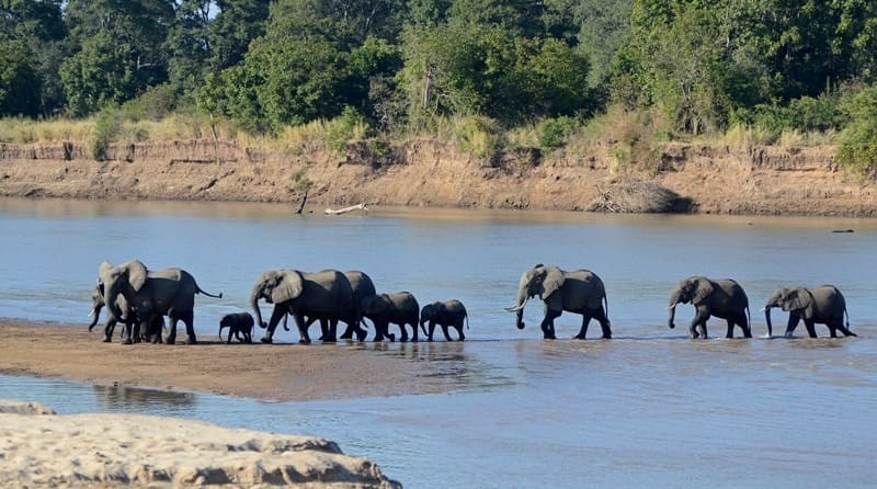 The Top 8 Wildlife Safari Parks In Africa