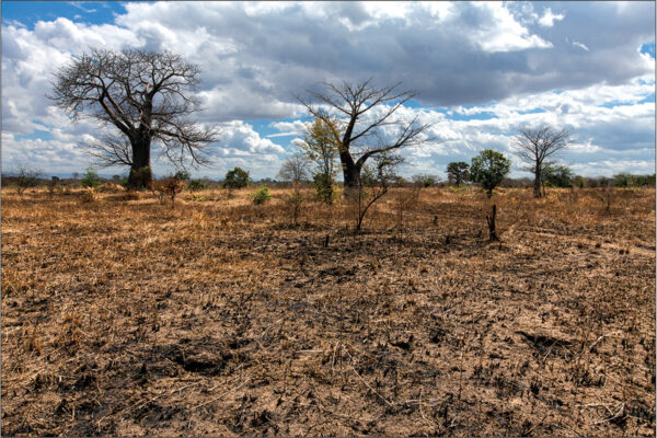 climate change in Africa