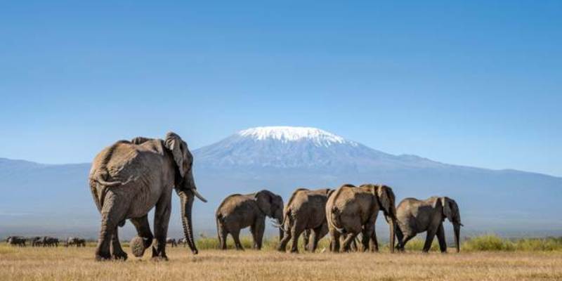 Angama Amboseli To Open November 2023