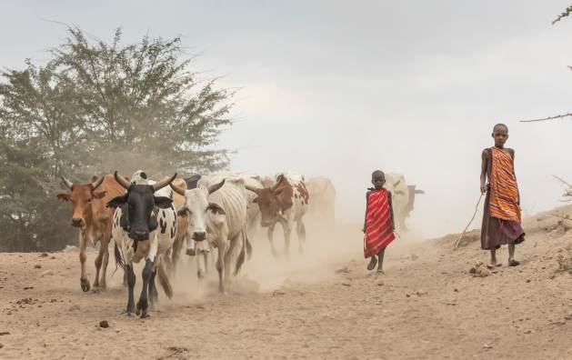Maasai Pastoralists