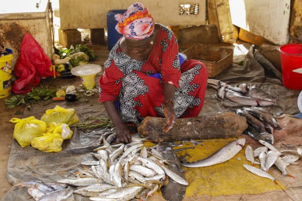 AFRICAN DEVELOPMENT BANK KENYA CONTACTS visual data 5