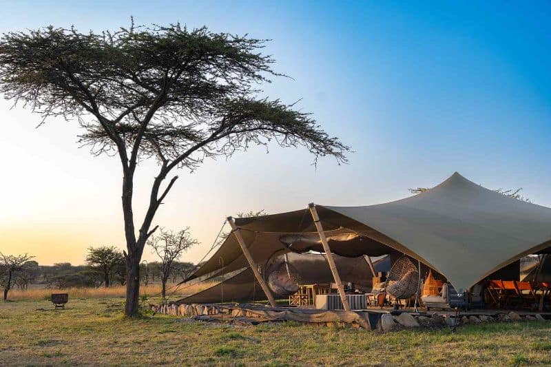 A Round Up of African Safari Camp Openings for Wildlife Viewing with all the Bells and Whistles - Vimarsana News